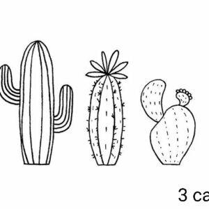 3_cacti