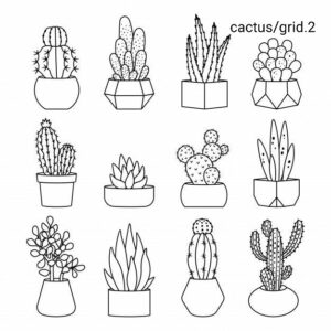 cactus_grid_2