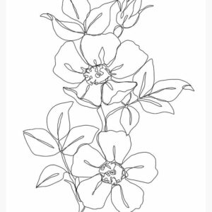 dogwood_1