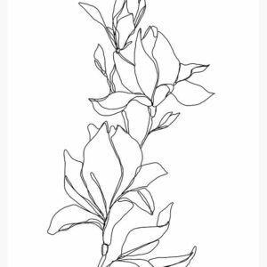 magnolia_1