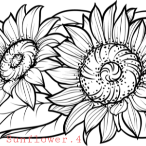 sunflower_4