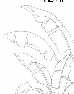 tropical_leaf_1