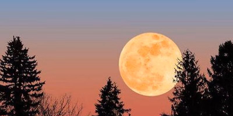 Harvest Moon Paint Night!