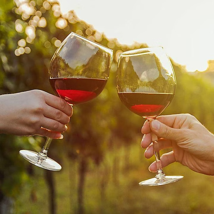Wine Glasses ArtXcursion