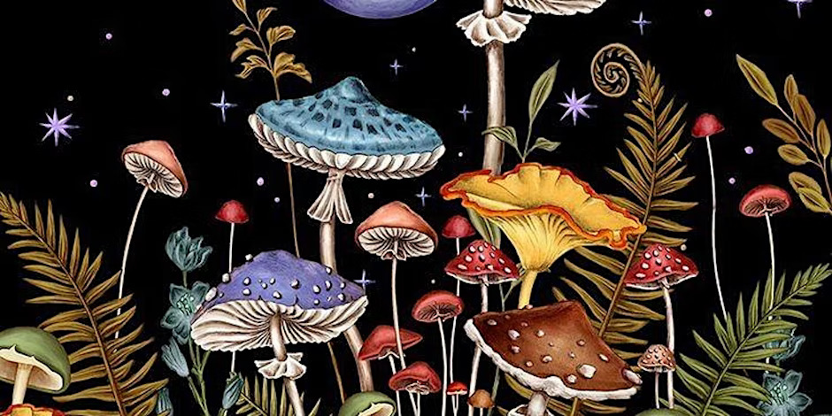 Flora And Fauna Sip + Paint!