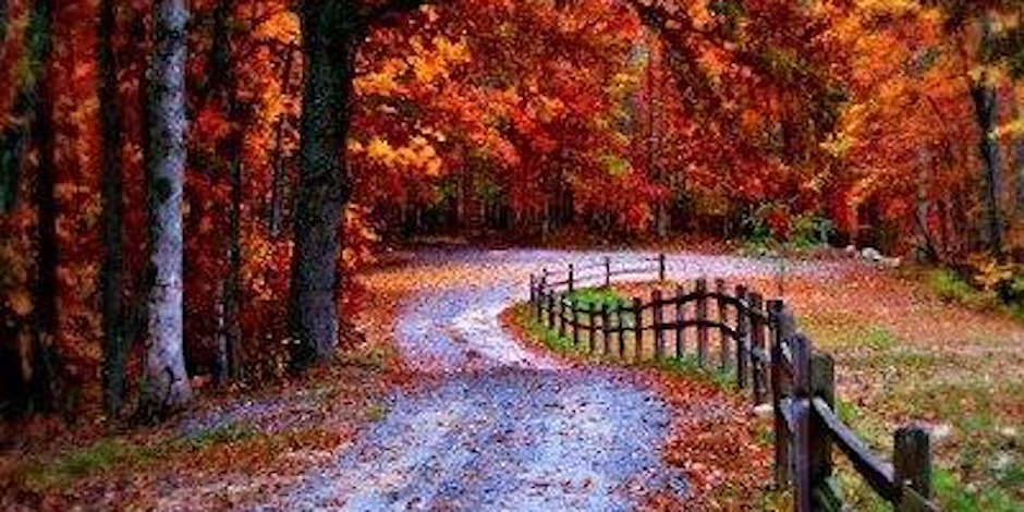 Brushes + Brew: Autumn Stroll