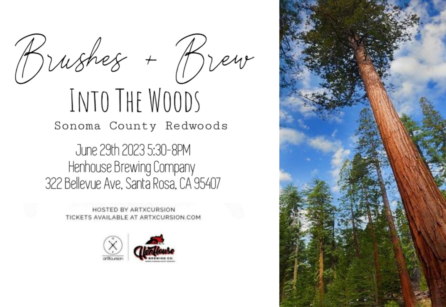 Brushes + Brew: Into The Wood, Sonoma County Redwoods!